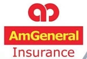 AmGeneral Insurance | Money Life Academy Corporate Client